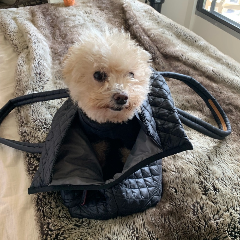 MZ Wallace dog carrier NWOT